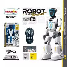 Yearoo AI Humanoid Robot - view 4